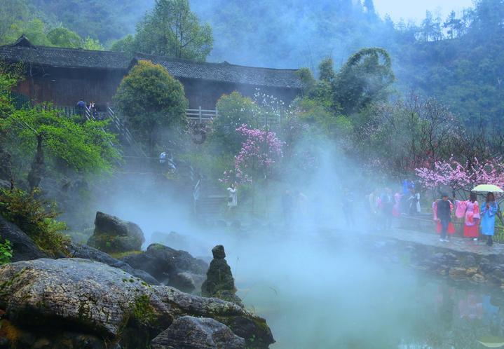 沪江开心词场