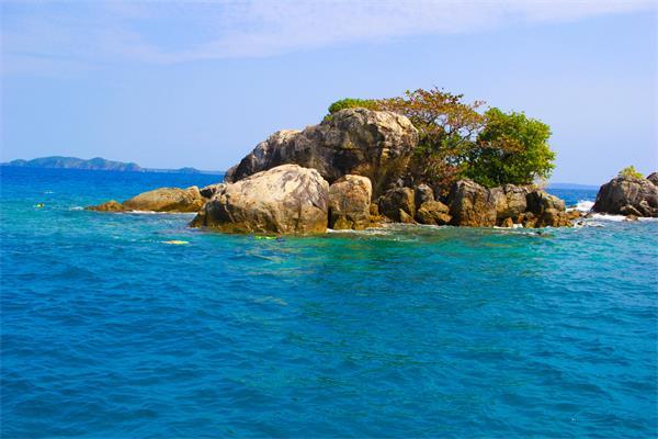 虫虫助手下载