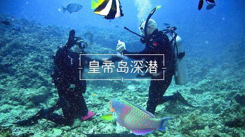 健美大赛