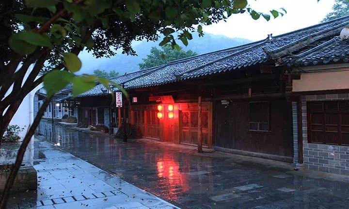 增绿1万亩、打造百条城市画廊……今年北京绿化这么干!